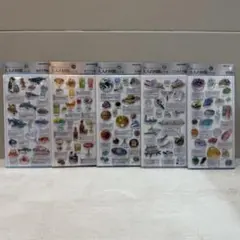 正規品　大人の図鑑3D 第一弾　5枚セット