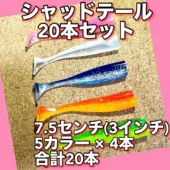 シャッドワーム　20本セット　3インチ　VJ用ワーム コアマン　VJのサムネイル