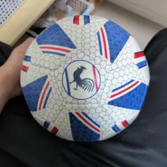 フランス国旗デザイン サッカーボール