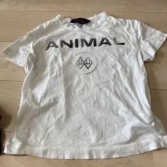 TAO The Animals Observatory Tシャツ 6y 116のサムネイル