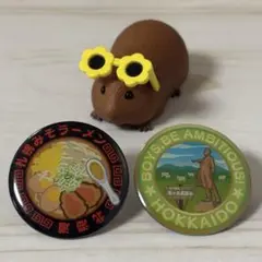 北海道ピンバッチとモルモットガチャガチャのセット