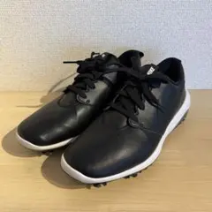 NIKE ゴルフシューズ 26cm ブラック シューズケース付き！