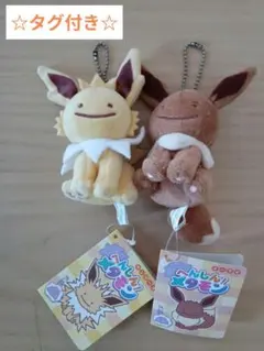 ポケモンセンター　へんしん！メタモン