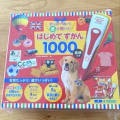 【新品・未開封】はじめてずかん 1000 音声付き