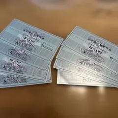 ゼビオホールディングス株主優待券　10%OFF券✖︎8枚