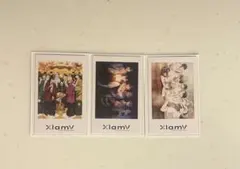 ビバレン xlamv シャタコレ　3点セット