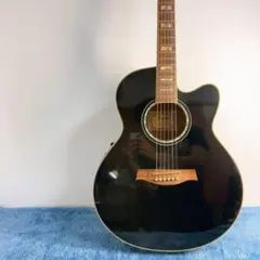 2026年最新】Ibanez AELの人気アイテム - メルカリ