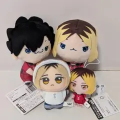 ハイキュー　ちびもこぬいぐるみ2種・アニマルポンチョ1種・ぬいぐるみチャーム1種