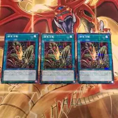 【遊戯王】① 捕食活動　3枚　セット　まとめ