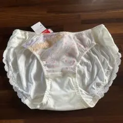 Item thumbnail for item 748ccffa-666c-4f2d-bac3-7328ec67eea4