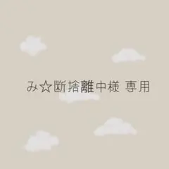 み☆断捨離中様 専用