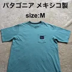 Patagonia ポケットTシャツ バックプリント有 size:M