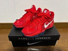 Nike Sabrina 2　ナイキ サブリナ2 MEN22.5cm