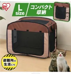 Item thumbnail for item 11f9a795-165e-462b-a9d0-5929ba85914f