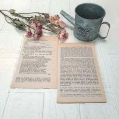 洋書アンティーク35枚