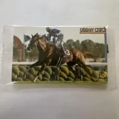 ◎まねき馬 2625 アーバンシック C.ルメール