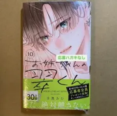 お姉ちゃんの翠くん 10巻