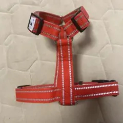 Item thumbnail for item a148d3ca-e99b-472b-9610-125a02169811