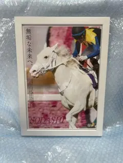 Item thumbnail for item 6354b2aa-b0a6-492c-9689-5b239363c7ea