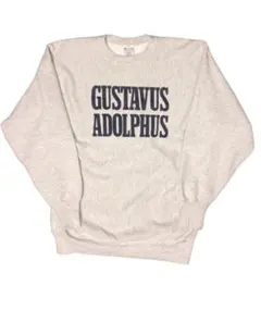 90s Champion リバースウィーブ スウェット トリコタグ 染み込み