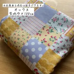 Item thumbnail for item 8f88c9aa-0882-45e5-9d16-fd17e8558c7d