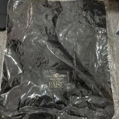 KOICHI DOMOTO LIVE TOUR 2025 RAISE バッグ