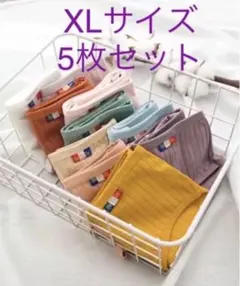 XL サイズ新色レディース ショーツ コットンショーツ5枚セット