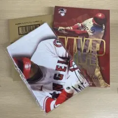 Item thumbnail for item d332eaef-ad86-4f82-b2f8-cb65197f51bc