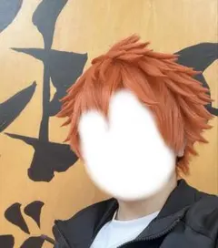 日向翔陽 ハイキュー コスプレ ウィッグ