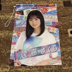 Item thumbnail for item 39b6b355-ffd6-4025-9e8d-34b40704fd34