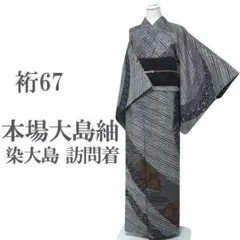 本場大島紬 染大島 訪問着 袷 着物 落款 絵羽 裄67 Ｌ 中古 sn1617