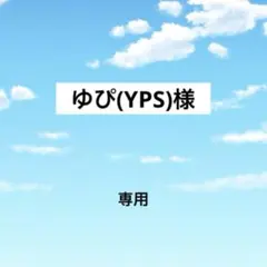 アメステゆぴ(YPS)様