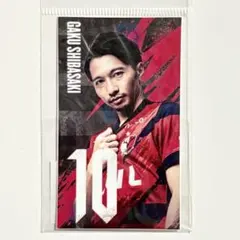 鹿島アントラーズ 25 スタジアムフォトスポットステッカー #10 柴崎岳