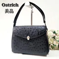 美品☆オーストリッチ☆フォーマルハンドバッグシルバー金具冠婚葬祭