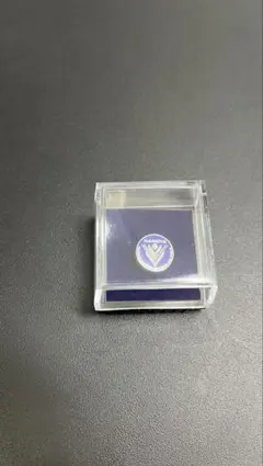 ピンバッジ　鹿屋体育大学