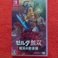 ゼルダ無双 厄災の黙示録 Nintendo Switch