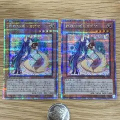 2026年最新】カグヤ 25thの人気アイテム - メルカリ