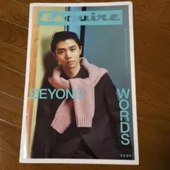 羽生結弦さん、Esquire BEYOND WORDS 、新聞折込