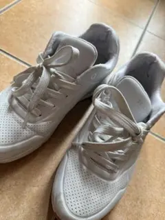 Item thumbnail for item 959a9f65-34ed-4595-ae1a-2f61b5933dbf