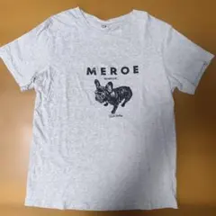 Item thumbnail for item 31164e22-7d27-4303-b851-357964b6a74e