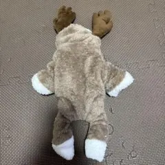 Item thumbnail for item cdebabcb-7568-485d-96ee-6dde36bbb9da