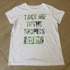 ROXY ロキシー 半袖 Tシャツ M ホワイト ボタニカル ロゴ 夏 リゾートのサムネイル