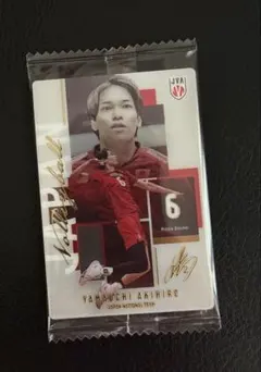 男子バレーボール日本代表 山内晶大 メタリックプラカード ウエハース