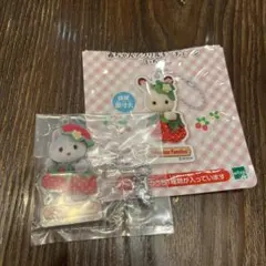 シルバニアファミリー　赤ちゃんアクリルキーチェーン　いちご　ハスキー　アクキー
