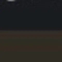 専用