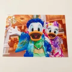 ディズニー スペシャルフォト スペフォ 2020 お正月 ドナルド デイジー