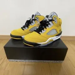 Nike Air Jordan 5 Retro T23 27cm