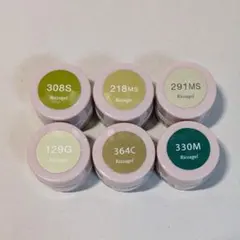 【残量4～5割】Riccagel ジェルネイルカラー 6点セット