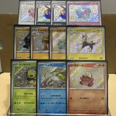 【シングル販売】色違い S まとめ売り