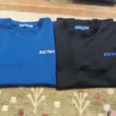 Item thumbnail for item e0dbdceb-2b1d-4561-8997-f1239a68101f